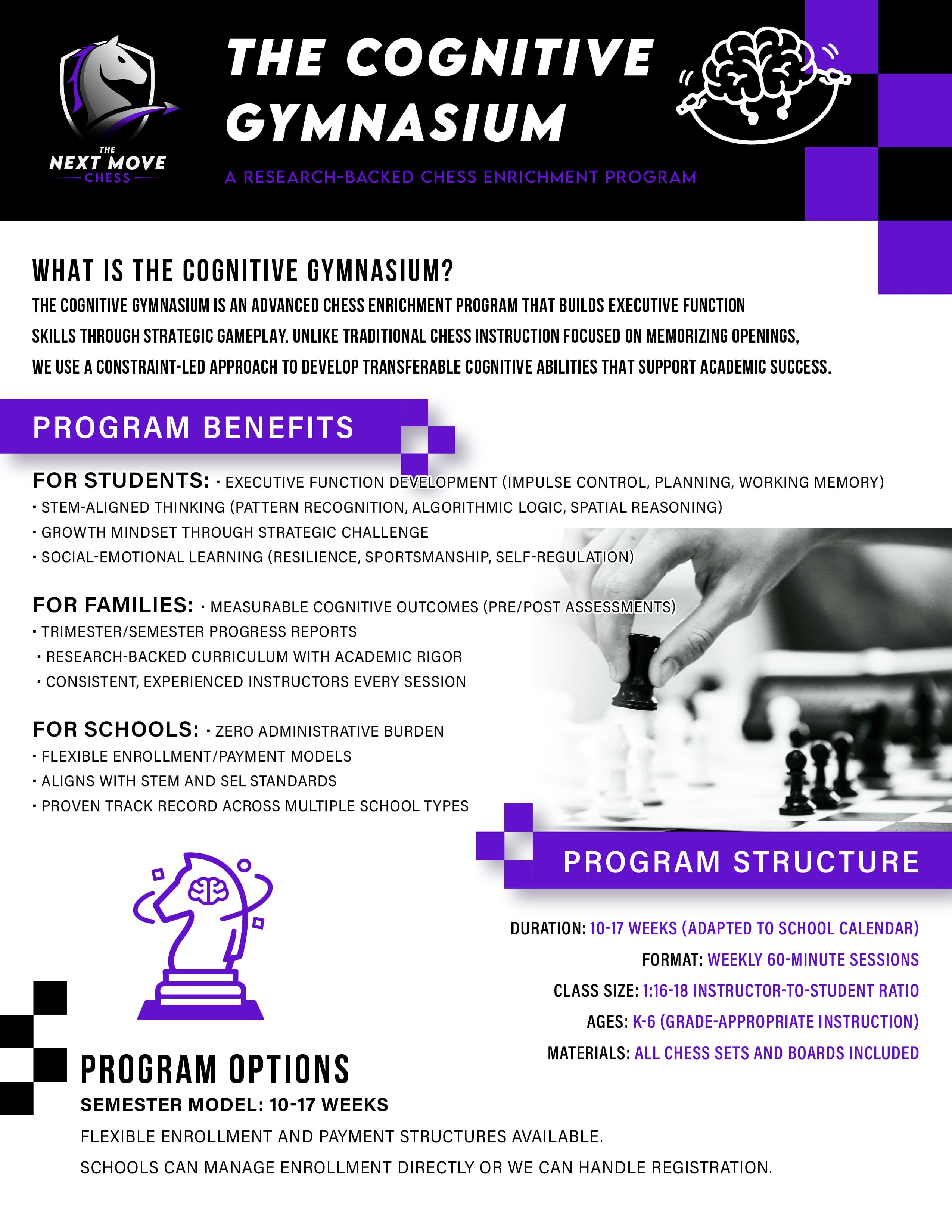 The Cognitive Gymnasium program overview — page 1